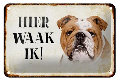 Produktbild von Blechschild Spruch 18x12cm holländisch Hier Waak ik Bulldogge Dekoration