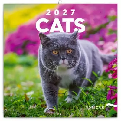 Image de NOTIQUE : Agenda de notes "Chats" pour l'année 2027, format 30 x 30 cm