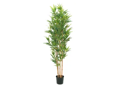 Produktbild von EUROPALMS Bambus deluxe, Kunstpflanze, 150cm (82509166)