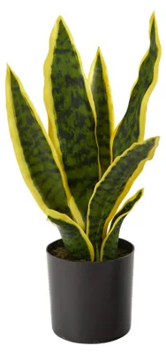 Obrázek produktu pro Umělá rostlina Sansevieria, výška 35,6 cm, značka Nearly Natural
