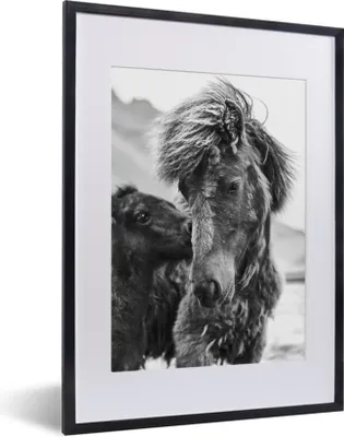 Produktbild von MuchoWow® MuchoWow® Gerahmtes Poster Pferde - Fohlen - Fell 30x40 cm - Poster mit zchwarzem Bilderrahmen - Wandposter Schlafzimmer