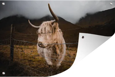 Produktbild von MuchoWow® 120x80 cm Outdoor-Poster Gartendeko Sichtschutz Garten Poster für den Garten  Schottischer Highlander - Berg - Wolken