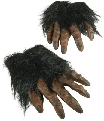 Image de Bristol Novelty Mains poilues unies pour adultes, 1 paire BN1573 (taille unique) (Marron)