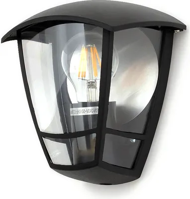 A black outdoor wall light with a clear glass enclosure and an Edison-style LED bulb.