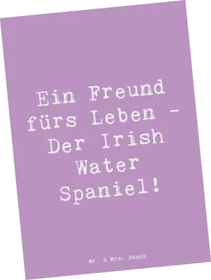Produktbild von Mr. & Mrs. Panda Postkarte Spruch Irish Water Spaniel Freund - Lavendeltraum - Geschenk, Hunde, besondere Hunderasse, Wasserhund, Hunderassen Charakter, Ansichtskarten