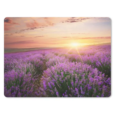 Produktbild von MuchoWow® Mauspad Mousepad Lavendel - Sonne - Blumen 40x30 cm - Mousepads - Maus Mat - Pad - Mausunterlage - Anti Rutsch
