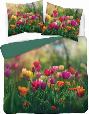 Produktbild von Bettwäsche, Mikrofaserbettwäsche, angenehm anzufassen 200x220 5318a Tulpen