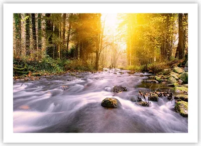 Produktbild von Poster - Poster ohne Rahmen - Herbst Wald Berg Fluss - 70x50 cm - Wand Bild - Wanddeko - Wandbilder - Kunstposter - Wandposter - Bilder - Kunstdruck - Wanddekoration - Wandbild - P2XAA70x50-0504