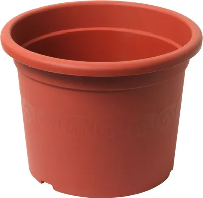 Zdjęcie produktu dla Plastia obal Narcis - terakota 19 cm