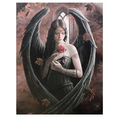 Produktbild von Kleine Engel Rose Leinwand Bild von Anne Stokes