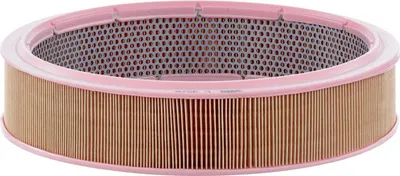 Obrázek produktu pro Vzduchový filtr MANN-FILTER C 3576