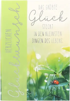 Produktbild von 1 xGeburtstagskarte 31/Herzlichen Glückwunsch Das größte