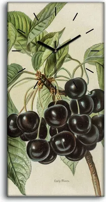 Produktbild von Wandbild Leinwand Bilder Wanduhr 30x60 Malerei Trauben Blätter Zweig Kunst - schwarze Hände