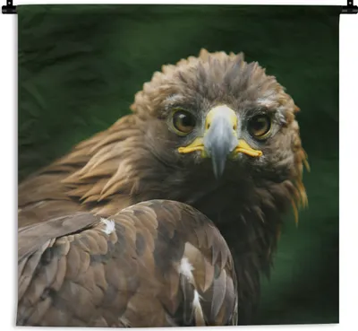 Produktbild von MuchoWow® Wandteppich Wandbehang Adler - Braun - Raubvogel 90x90 cm Tapisserie Dekoration Wandtuch - Wandaufhänger