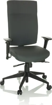 Produktbild von hjh OFFICE Profi Bürostuhl PRO-TEC 300 Ergonomischer Schreibtischstuhl mit Armlehnen (höhenverstellbar) Stoff Anthrazit Drehstuhl für Büro, Zuhause