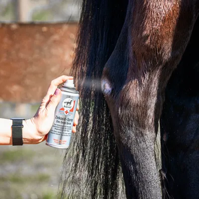 Immagine prodotto di Leovet Ossido di zinco Spray 200 ml, Contenuto: 200ml