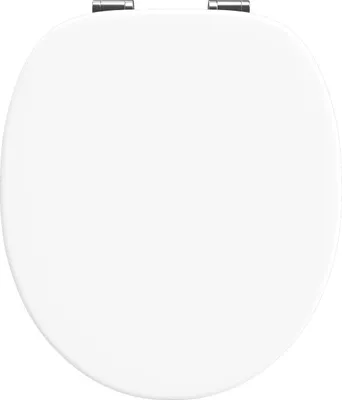 A top-down view of a closed white toilet seat with silver hinges.