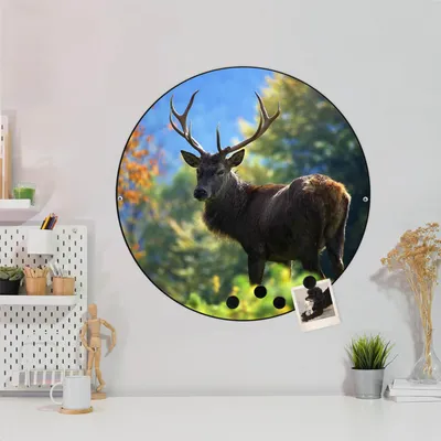 Produktbild von Design Stahlmagnettafel Schwarz Rund 47cm Hirsch