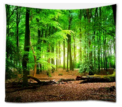 Produktbild von Wald-Wandteppich, Naturmotiv, Wandbehang für Schlafzimmer, Wohnzimmer, Wohnheim, Heimdekoration (200 x 150 cm)