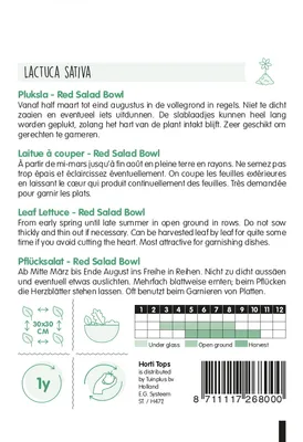 Produktbild von Pflücksalat Red Salad Bowl | Pflücksalatsamen von Hortitops