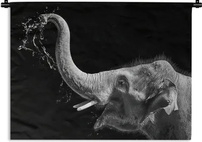Produktbild von MuchoWow® Wandteppich Wandbehang Porträt - Elefant - Tiere - Schwarz und weiß 150x112.50 cm Tapisserie Dekoration Wandtuch - Wanddecke - Wandteppiche
