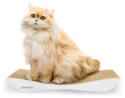 Produktbild von Mobile Kratzbank TOBI - Flexibles Kratzmöbel für Katzenliebhaber - Ideal für Nähe und Komfort - 59x7x25 cm - Farbe: Weiß