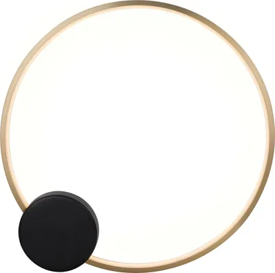 Image de Eye 60 - lampe murale LED moderne noire et dorée de 60 cm