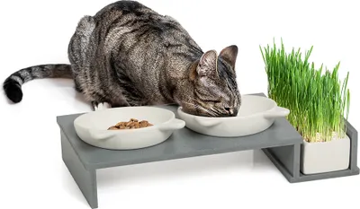 Produktbild von Futterbar Cat Diner in Betonoptik · mit drei Keramikschalen