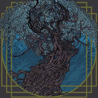 Image de Ultrasons