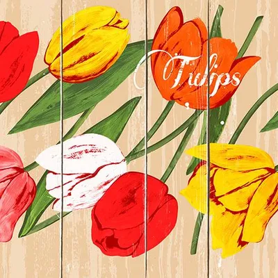 Produktbild von 600 Servietten, 3-lagig 1/4-Falz 33 cm x 33 cm "Blooming Tulips"
