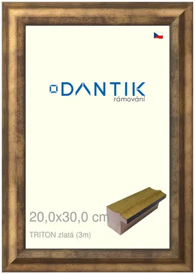 Obrázek produktu pro DANTIK rámeček 20x30 | TRITON zlatá (Sklo Čiré)