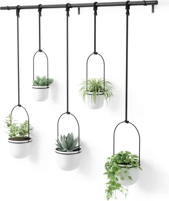 Five hanging planters with plants are displayed against a white background, attached to a black rod.