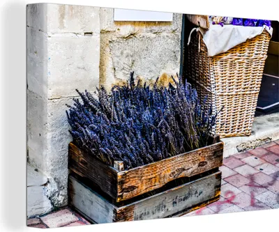 Obrázek produktu pro OneMillionCanvasses® - Obraz na plátně - 140x90 cm, Levandule v krabici na ulici, Avignon, Francie, nástěnné umění tisk nástěnné dekorace - fotografie na plátně - malba