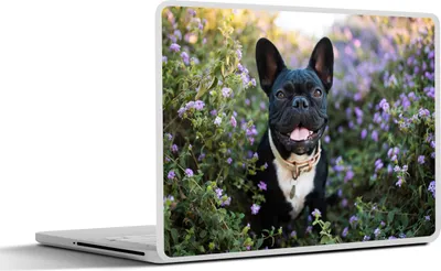 Produktbild von MuchoWow® Laptop Aufkleber Sticker Cover Französische Bulldogge - Blumen - Lila 32.5x23.5 cm - Sticker für Laptop - Selbstklebend