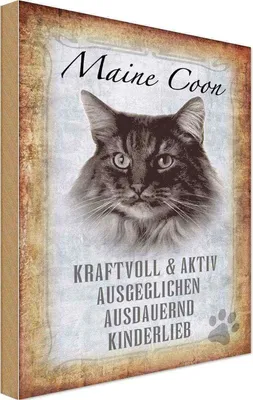 Produktbild von vianmo Holzschild 30x20 cm Maine Coon Katze aktiv Tier Haustier
