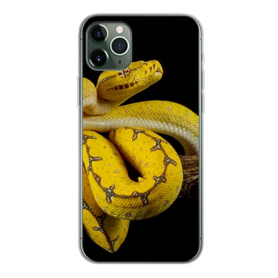 Produktbild von MuchoWow® Handyhülle Schutzhülle Hülle für iPhone 11 Pro Max Schlange - Zweig - Gelb Silikon Softcase Handy Hülle - Schutz