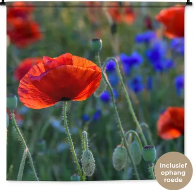 Produktbild von MuchoWow® Wandteppich Wandbehang Bunte Mohnblumen in den Niederlanden 150x150 cm Tapisserie Dekoration Wandtuch - Wohnaccessoires - Modernes