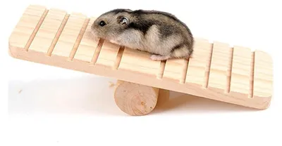 Produktbild von Schaukel-Wippe Spielzeug für Haustiere, Holz Kauen Klettern Zubehör für Chinchillas, Frettchen und Nagetiere