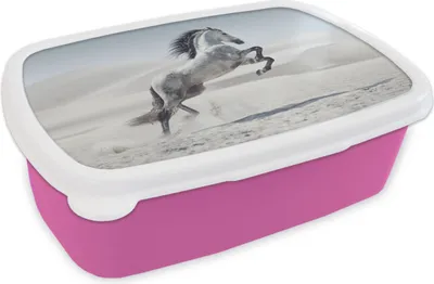 Produktbild von KitchenYeah® Lunchbox Brotzeit Brotdose 17x11 cm Pferd - Tiere - Sand - Natur Kinder Brotzeitdose - Lunchpaket - Brotkasten  - Sandwich Box