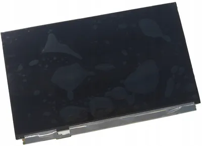 Obrázek produktu pro Displej LQ156M1JW31 FHD IPS