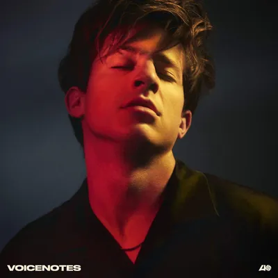 Immagine prodotto di Puth,Charlie-Voicenotes