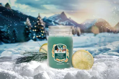 Produktbild von Yankee Candle Holiday Winterfest 567 g