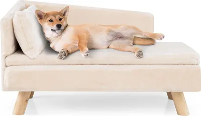 Produktbild von Erhöhtes Haustiersofa für kleine und mittelgroße Hunde und Katzen, Weiß