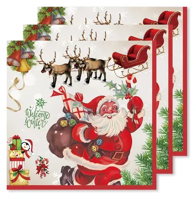 Weihnachtsservietten 20 Stück, 2-lagig, 16,5x16,5 cm