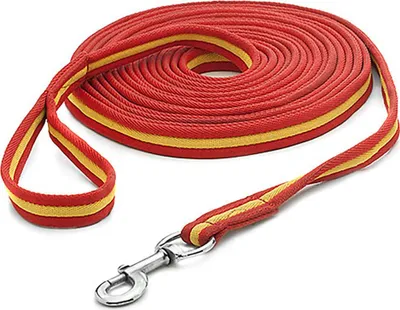 Produktbild von Hispano Hipica Nylon Flaches Bleiseil 2.25 M Rot Rot One Size