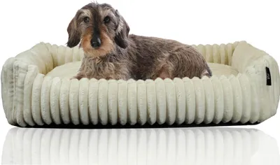 Produktbild von Kuschelsofa Cordstoff Deluxe Beige