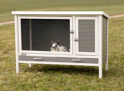 Produktbild von Kerbl ECO-Kunststoff-Nagerstall Samy LxBxH: 116x57x82 cm