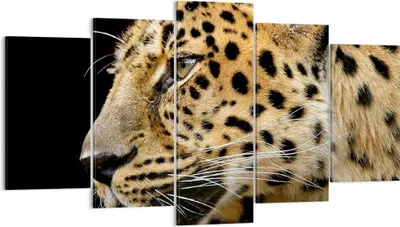 Produktbild von Bild auf Leinwand - Leinwandbild - Tiere Leopard wilde Katze wilde Tiere - 160x85cm - Wand Bild - Wanddeko - Leinwanddruck - Bilder - Kunstdruck - Leinwand bilder - Wandkunst - EA160x85-0433