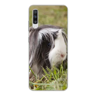 Produktbild von MuchoWow® Handyhülle Schutzhülle Hülle für Samsung Galaxy A70 Langhaar-Meerschweinchen Silikon Softcase Handy Hülle - Schutzhaube