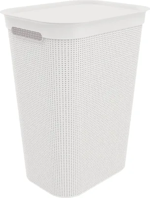 Produktbild von Rotho Wäschesammler 50 L Brisen - Wäschekorb 43,1 x 34 x 52,9 cm - Wäschebox mit Deckel und Griffen - Wäschetruhe groß - Wäschetonne aus Kunststoff